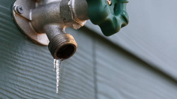 Best Best Plumbers Near Me  in Olton, TX